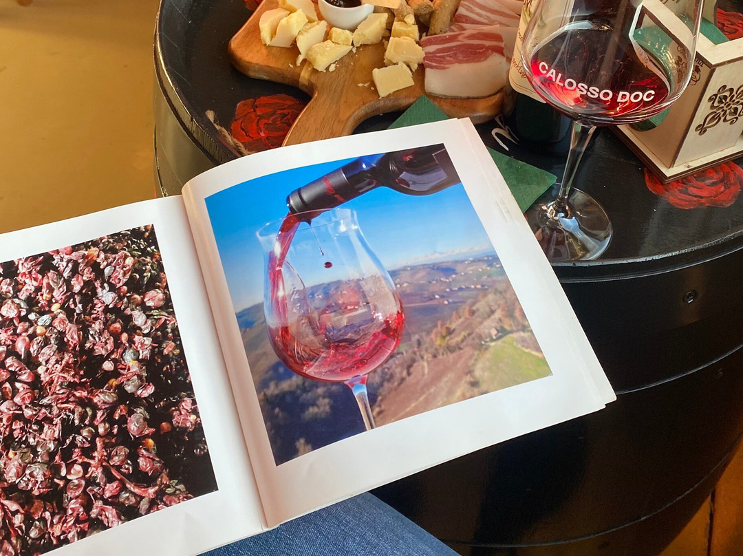 Cascina Comina Winery-Calosso必去景点