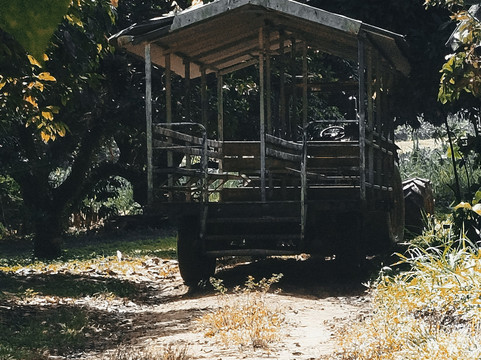 Plantation Grand Café-Capesterre-Belle-Eau必去景点