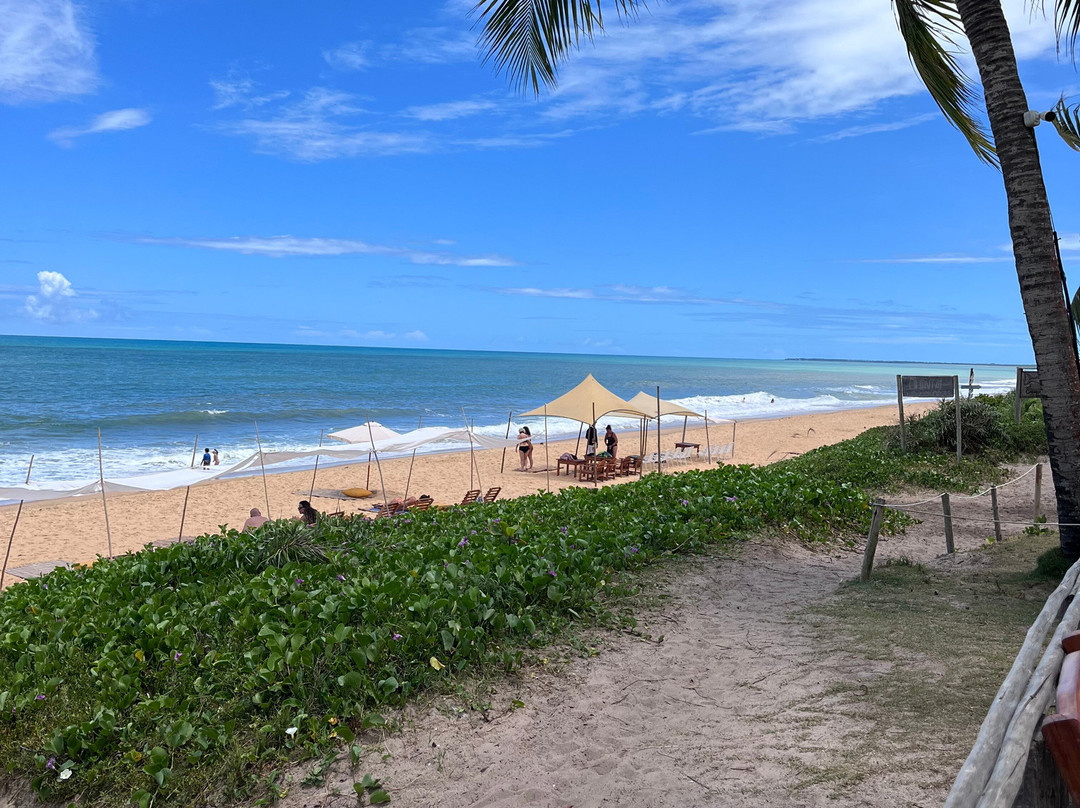 Porto Seguro Tour-Porto Seguro必去景点