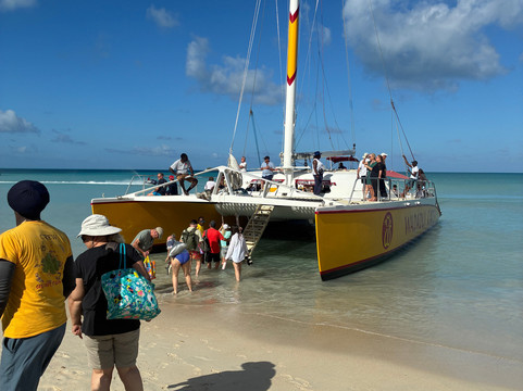 Wadadli Cats-安提瓜必去景点