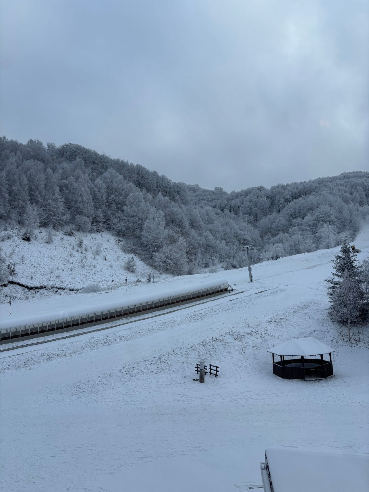 朱尼尔酒店-官方