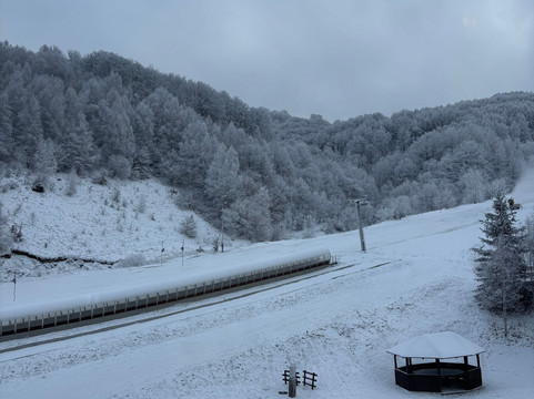 朱尼尔酒店主图