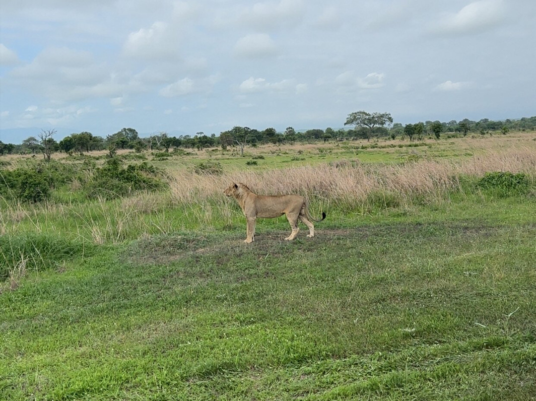 Marmara Holidays-Dar es Salaam必去景点