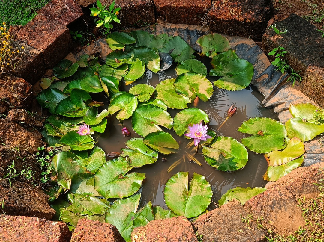 Konoha Eco Farmstay-Dapoli必去景点