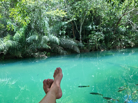 Bosque das Águas-博尼图必去景点
