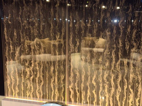 Cocoon Wellness Spa Riffa Bahrain-Riffa必去景点