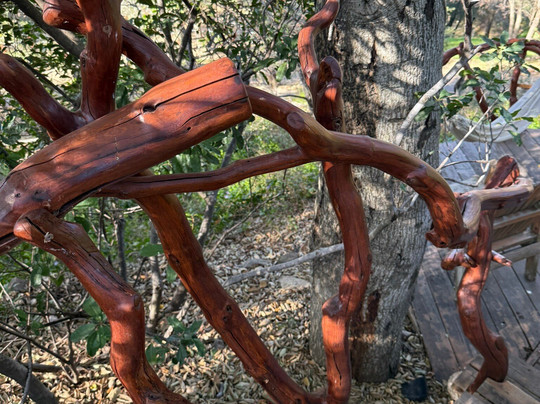 Wikiup Hummingbird Hotel主图