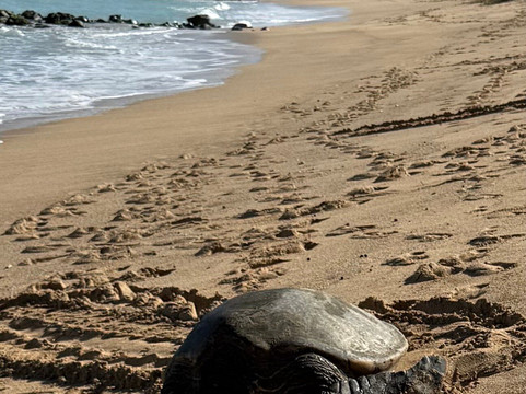 Kanaha Beach Park-卡胡卢伊必去景点