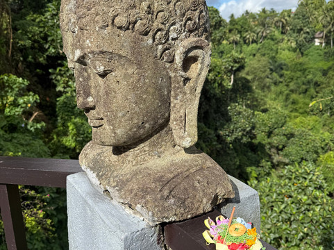 Bali Unique Driver-巴厘岛必去景点