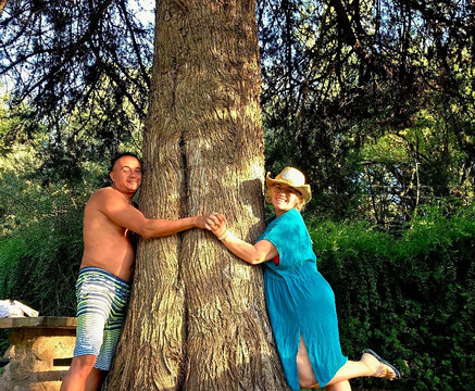 Las Ardillas Cabañas y Suites主图