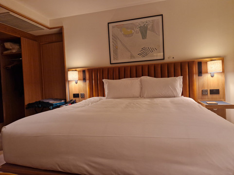 基尔肯尼佩恩布鲁克酒店主图