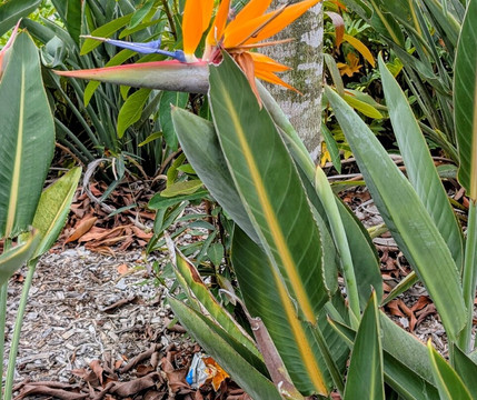 Pimpama Sports Hub-Pimpama必去景点