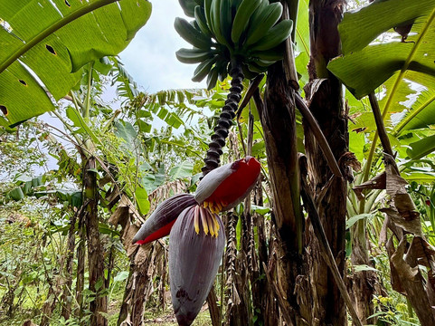 Alex On The Beach Tours-萨迪纳尔必去景点