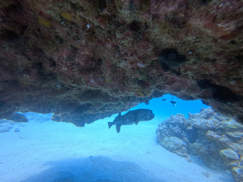 Just Diving-Bain Boeuf必去景点