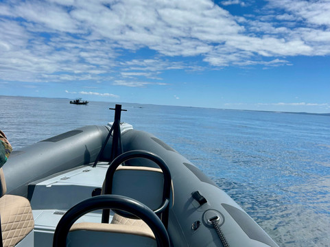 Cape Coast Expeditions-Yzerfontein必去景点