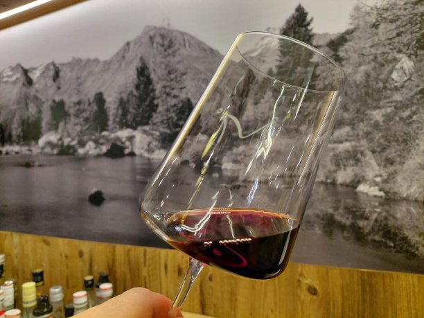 Hotel Alpenkönigin Alpine Luxury-官方