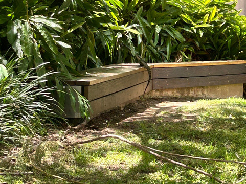 Local Sauce Tours-悉尼必去景点