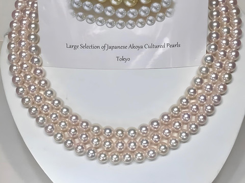 Meguro旅游景点-Canilli Pearl