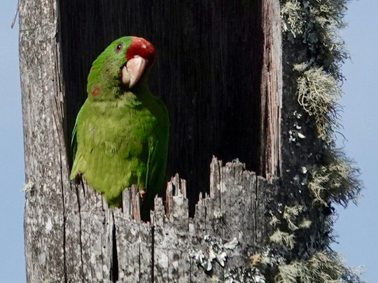 Jaguarundi Travel-波哥大必去景点