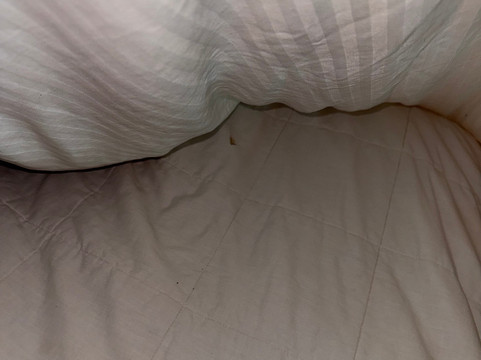 北蒙特雷舒眠酒店主图