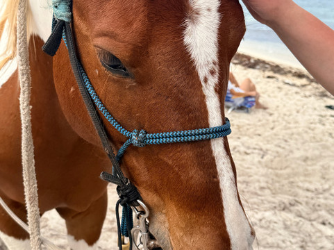 Spirit of the West-西湾必去景点