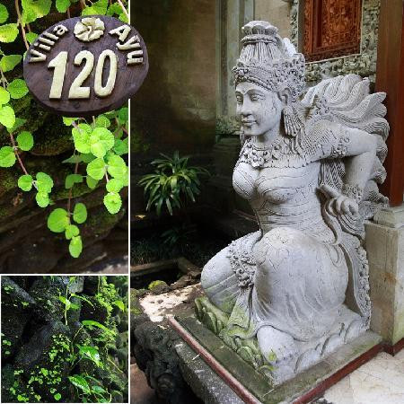 皇家皮塔玛哈酒店主图