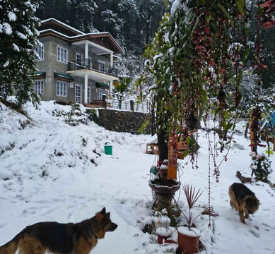 Travel Bir Billing-Bir必去景点