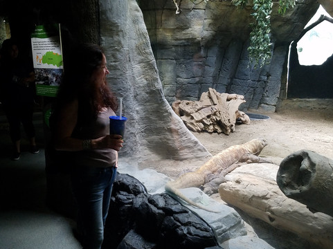 Virginia Aquarium & Marine Science Center-弗吉尼亚海滩必去景点