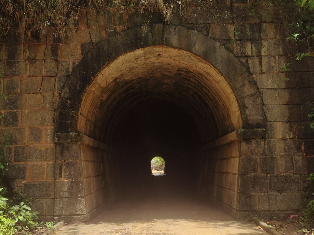 BARTUS Experiências-Bananeiras必去景点