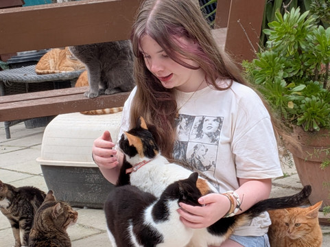 Tala Monastery Cat Park-Tala必去景点