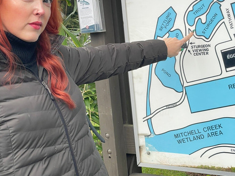 Sturgeon Viewing Pond and Interpretive Center-Cascade Locks必去景点