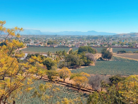 Tequila Fortaleza-特基拉必去景点