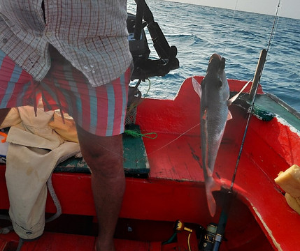 Cabo Verde Fishing Center-明德卢必去景点