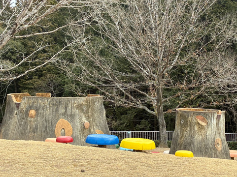 Shinshiro Comprehensive Park-新城市必去景点