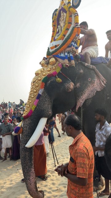 阿洽扬斯家庭旅馆-官方