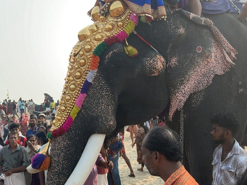 阿洽扬斯家庭旅馆主图