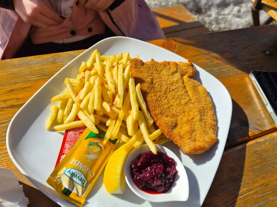 Gasthaus Furlhütte主图