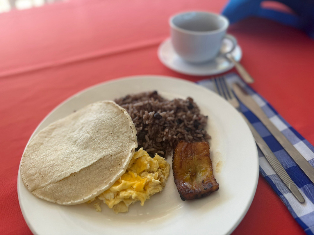 Brisas del Nara-哥斯达黎加安东尼奥国家公园必去景点