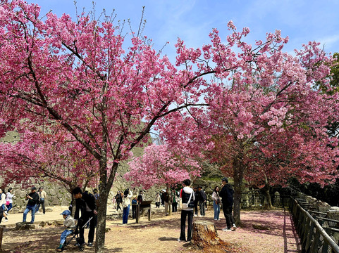 松山城-松山市必去景点