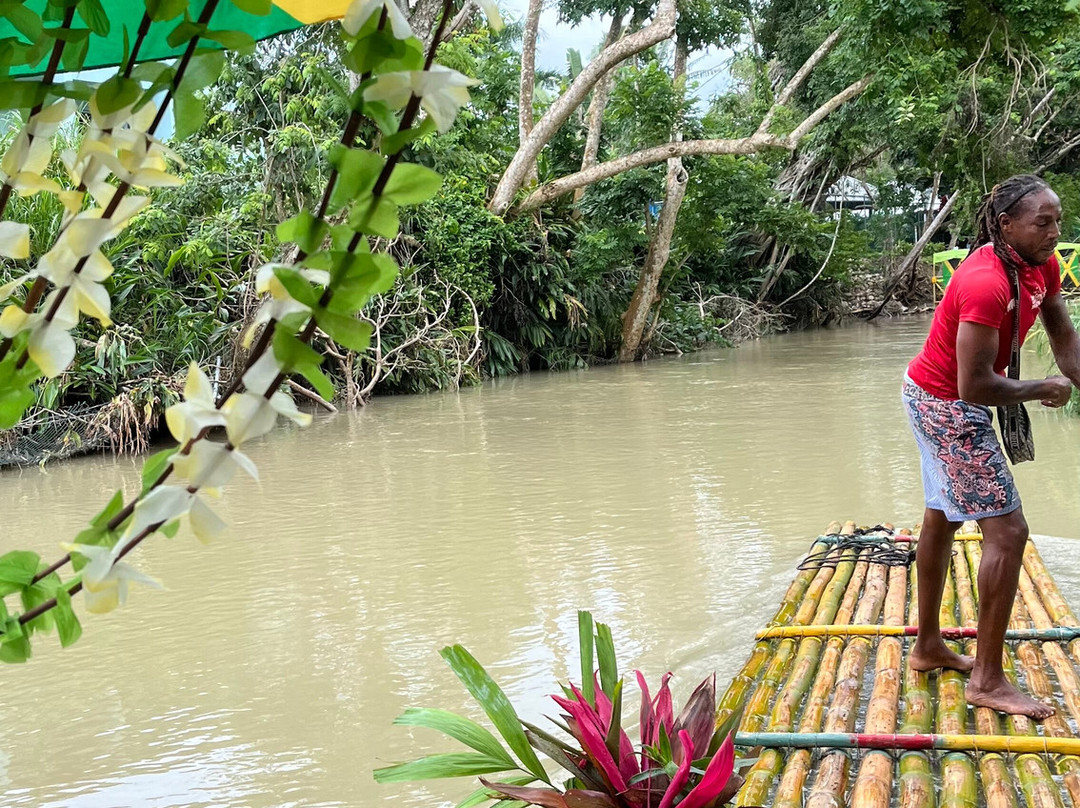 Genius Reggae Jamaica Tours-奥乔里奥斯必去景点