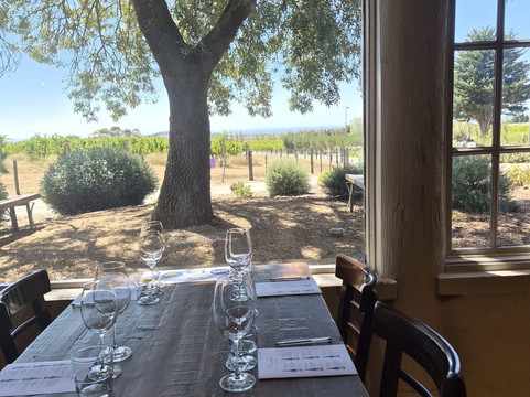 Wilsons Wine Tours Geelong-季隆必去景点