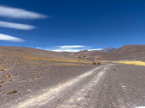 Tastur-Bahia Inglesa必去景点