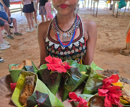 Services Coronado-巴拿马城必去景点