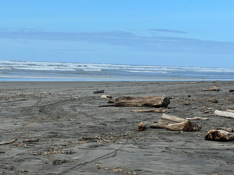 North Jetty-洋滨市必去景点