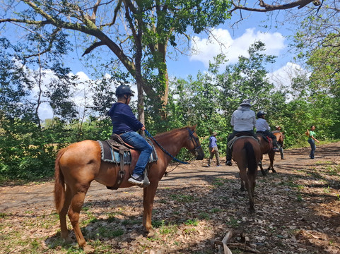 Coquira Soil Project-Chepo必去景点