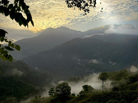 Teyuna Tours-圣玛尔塔必去景点