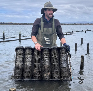 Oyster Bay Tours-科尔斯湾必去景点
