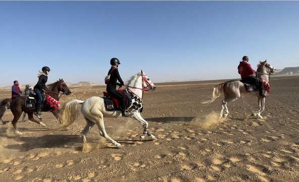 Ride Egypt-赫尔格达必去景点