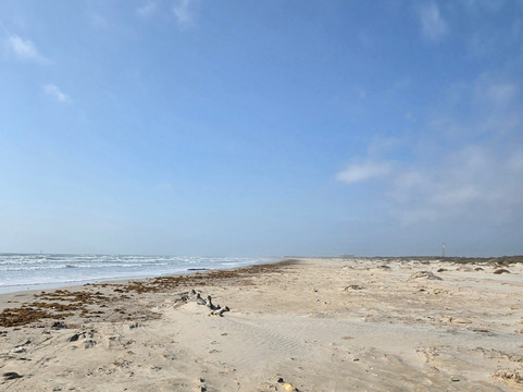 San Jose Island-阿兰瑟斯港必去景点