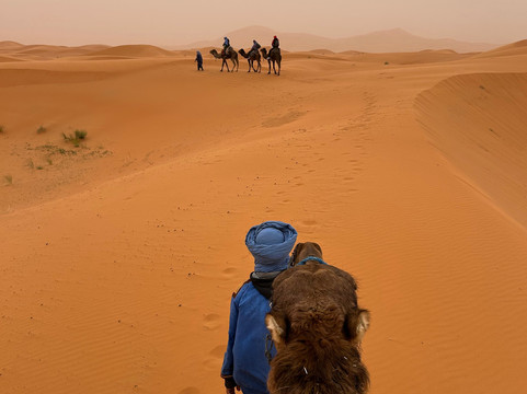 Redouane Sahara Tours 4x4-伊拉悉迪亚必去景点